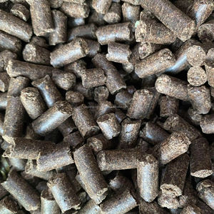 Granulé de noix de cajou de qualité supérieure GIA NGUYEN pour le bronzage - Product Image 4