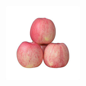 Pomme Fuji rouge fraîche sucrée croustillante organique naturel propre emballé fournisseur d'exportation en vrac fruits de qualité ferme de qualité juteuse de qualité supérieure - Product Image 1