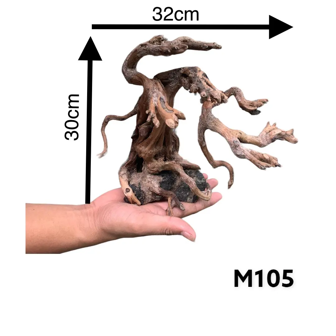 مورد فيتنامي من خشب بونساي الطبيعي للأخشاب الطافية ، ديكور حوض أسماك خشبي للمناظر الطبيعية ، M105.2