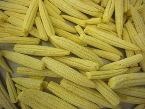 Maíz Dulce Enlatado - Maíz Bebé en Lata - Maíz en Salmuera - Maíz Dulce Amarillo Enlatado - Product Image 6