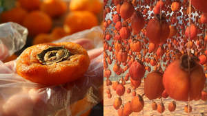 ลูกพลับอบแห้งคุณภาพเยี่ยมของเวียดนามผลไม้รสหวานแขวนอยู่ในสายลมแพ็คสุญญากาศ dalat - Product Image 6