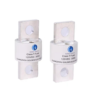 Porte-fusible de classe T pour fusible DC125V Type T 110A 125A 150A 175A 200A 225A 250A 300A 350A 400A pour caravane