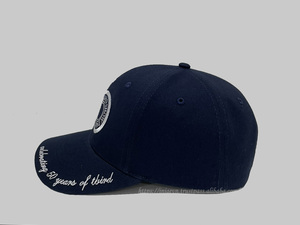 Minimalist Fashion for Outdoor Use, Custom Embroidery Logo Structured 6 <b>Panel</b> Comfortable Cotton Dad Hat, Made in Vietnam Vendor - Product Image 3