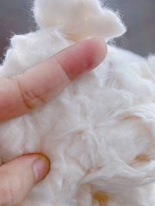 Fibra de algodón reciclada como material de relleno con precio razonable para almohada de colchón _ Ms: Serena - Product Image 2