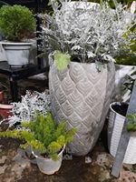 Pot & Planter Bunga Tradisional Berbentuk Lily Buatan Tangan dari Vietnam, Ramah Lingkungan, Tahan Lama, Terbuat dari Semen, Dekorasi Rumah & Taman Unik