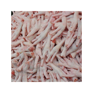 Pieds de poulet halal surgelés de qualité supérieure, grade A, 27 tonnes métriques par conteneur, en vrac, peau blanche propre, pour exportation en gros, approvisionnement mondial - Product Image 6