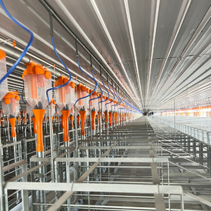 Jaulas de gestación de cerdo al precio más barato para cerdos en gestación Fabricante de Vietnam de acero inoxidable - Product Image 3