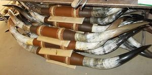 Decoración de Pared con Cabeza de Toro, Hecha a Mano con Cuernos de Búfalo Naturales, Impermeable, Tradicional y Moderna, para Cabañas de Caza, Bajo Costo - Product Image 2