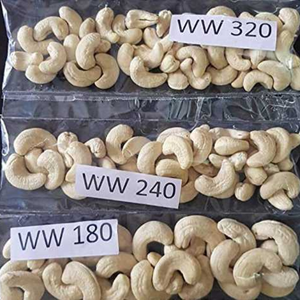 Anacardos a Granel SP/LP/W180/W240/W320, Fuente Directa de Fábrica - Product Image 3