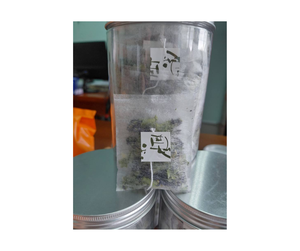 ชาดอกกระเพาะผีเสื้อขายดีจากเวียดนามสำหรับผู้ซื้อจำนวนมาก - กลิ่นหอมสดชื่นและกลีบดอกสม่ำเสมอ ชาสีฟ้าสำหรับส่งออก - Product Image 5