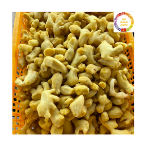 IQF Organic <b>Frozen</b> Whole Ginger Fresh Peeled Ginger from Vietnam Factory Premium Quality for Spice Market Export Ready Users - Product Image 1