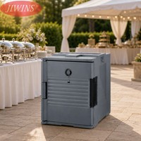 JIWINS - Porte-plats isotherme double capacité - Boîte thermique - Réchauffeur de nourriture pour la restauration - Serveur de buffet - Roues pour hôtel et restaurant
