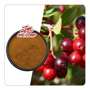 Di alta qualità Vitex Agnus Castus albero casta bacca estratto in polvere - Product Image 1