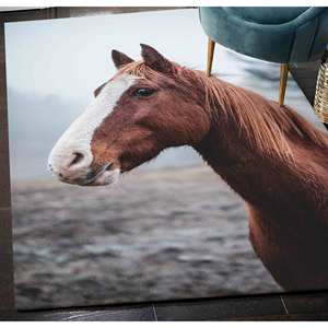 Alfombra de Caballo Salvaje: Alfombra Decorativa Antideslizante, con Pelo Suave - Product Image 2