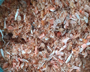 Coquille de crabe prix bon marché, farine d'os de crabe pour le bétail, coquille de crabe naturelle Anna - Product Image 3