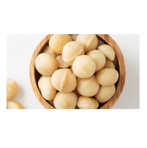 Noix de macadamia à vendre à des prix réduits Commandes en gros fraîches et de haute qualité maintenant disponibles à bas prix - Product Image 5
