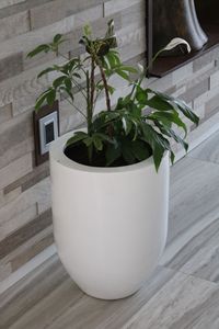 Maceta grande de fibra de vidrio FRP de alta calidad, diseño clásico para el hogar, jardín al aire libre, vivero, producto Artificial - Product Image 6