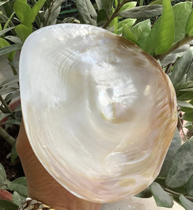 Plato de nácar de Vietnam, plato de servicio de concha Natural decorativo hecho a mano para comedor y exhibición de mesa - Product Image 4