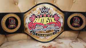 Ceintures de championnat personnalisées ! Ceinture de lutte miniature fantastique et folle 2025 - Product Image 4