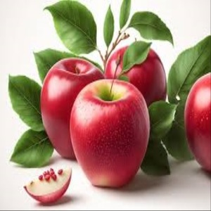 Manzanas Royal Gala de primera calidad a la venta a precios competitivos - Product Image 1