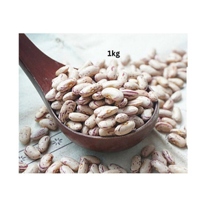 Granos de azúcar distribuidos a clientes globales con logística rápida - Product Image 6