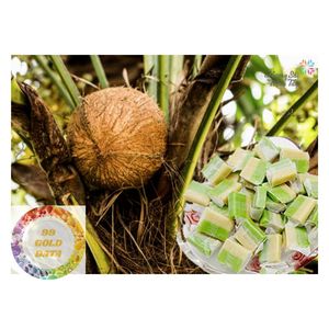 POSTRE SUAVE DE CARAMELO DE COCO MASTICABLE DE VIETNAM SNACK DULCE NATURAL AMABLE Y DELICIOSO PARA TODAS LAS EDADES - Product Image 6