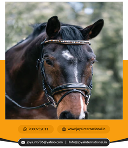 ชุดเดรสสายรัดสำหรับบังเหียนแบบพกพา Geneva สีดำมีท่อสีทองโลหะ - Product Image 4