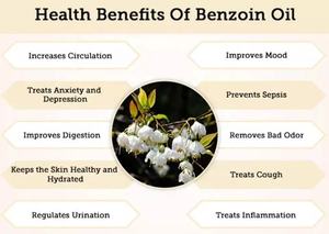 Aceites Esenciales <span class=keywords><strong>de</strong></span> Marca Privada, <span class=keywords><strong>Aceite</strong></span> <span class=keywords><strong>de</strong></span> Goma <span class=keywords><strong>de</strong></span> Benjuí, <span class=keywords><strong>Aceite</strong></span> <span class=keywords><strong>de</strong></span> Styrax Benzoin, <span class=keywords><strong>Aceite</strong></span> <span class=keywords><strong>de</strong></span> Benjuí 100% Puro y Natural, Resina <span class=keywords><strong>de</strong></span> <span class=keywords><strong>Aceite</strong></span> Esencial a Granel - Product Image 3
