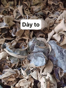 เห็ดหูหนูดำแห้งของเวียดนาม ผลิตด้วยวิธีการอบแห้งที่ควบคุมอย่างดี ช่วยให้เนื้อเห็ดแข็งแน่นและรูปลักษณ์สม่ำเสมอ - Product Image 2