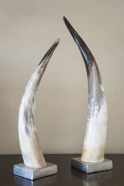 แตรธรรมชาติ