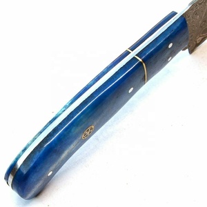 Venta al por mayor precio barato logotipo personalizado 100% alta calidad OEM ODM Damasco acero profesional cocina Chef cuchillo mango hueso de color - Product Image 5