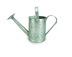 Prix le moins cher arrosoir cum cruche noir contenant une bonne quantité d'eau pour la décoration de jardin à la maison pour cadeau et décor - Product Image 4