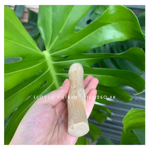 ไม้เคี้ยวของเล่นแบบยั่งยืนจากธรรมชาติไม้กาแฟสำหรับสุนัขไม้เคี้ยวสำหรับสุนัขไม้ติดกระดูกสำหรับสุนัขทำในเวียดนาม - Product Image 6