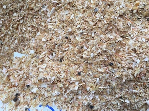 Poudre de crevettes séchées en gros, coquille de crevettes séchées écrasée avec la tête, nourriture pour animaux, qualité alimentaire, poudre d'algues, aliments bon marché, vietnamien - Product Image 4