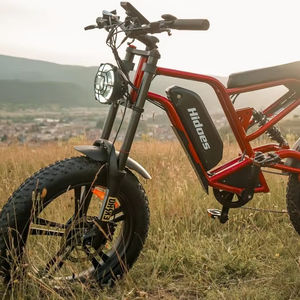 Bicicletas Eléctricas Nuevas B.6 Electrics 48v 1200w EMTB con Motores en el Buje Trasero - Product Image 1