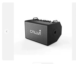 Haut-parleurs audio passifs de conférence de haute qualité avec amplificateurs, interfaces Bluetooth/Wi-Fi/USB, puissance 600W avec écran et support - Product Image 3