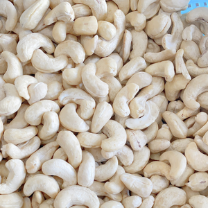 Usine pas cher prix WW180 WW240 WW320 gros noix de cajou avec taxe gratuite Santigo Vietnam - Product Image 1