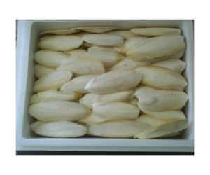 Hueso de Sepia al por Mayor 2024 de Vietnam, 100% Fabricante en Vietnam, Alimento para Aves Grado A, 13% Alimento para Loros, Alimento para Reptiles - Product Image 1