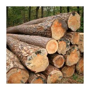 Suar wood <b>logs</b> wholesale for furniture and <b>decorative</b> purposes - Product Image 5