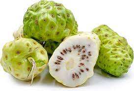 Disponible avec des fruits noni à bas prix - Product Image 4