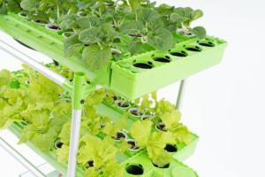 Grand ensemble familial pour l'irrigation et la culture hydroponique à l'extérieur Équipement haut de gamme pour l'entretien du jardin - Product Image 6