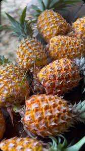 Vente en gros d'ananas frais et juteux certifiés biologiques à vendre - Product Image 6