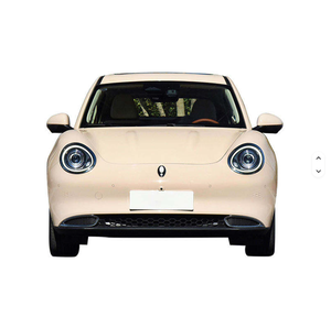 2024 Good Cat Mini EV Coches Eléctricos Deportivos 401km para Adultos en perfecto estado listos para enviar - Product Image 4