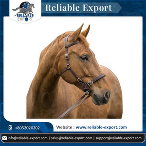 Best Quality Custom Design PVC Coated Webbing Durable Hand Stitching Horse Bridle for Horse Racing - Product Image 2