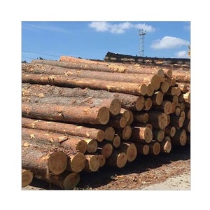 Bûches en bois de pin-Coupe de précision pour l'industrie du meuble - Product Image 3