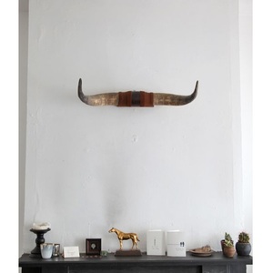 Cuerno de arte de la mejor calidad, cuernos de buey negros hechos a mano ECOLÓGICOS DE LA India, granja, hombre, cueva, decoración temática occidental - Product Image 5