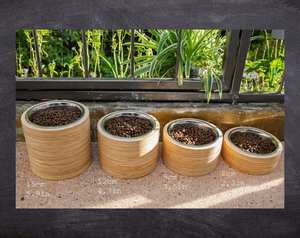 Manufacturer Customized Colorful <b>Ceramic</b> Pet <b>Bowl</b> for <b>Dogs</b> and Cats with Bamboo Shelf Eco-friendly Pet Water and Food Feeder - Product Image 1