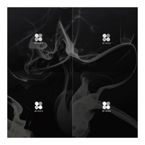 BTS - WINGS [2DO ÁLBUM] ÁLBUM DE KPOP MÁS VENDIDO EN COREA - Product Image 1