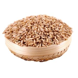 <b>Organic</b> <b>Oats</b> Grain in Dried Style Wholesale Price Available for Sale - Product Image 5