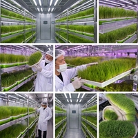 Grande ferme intelligente d'intérieur en conteneur, système de culture hydroponique verticale pour fraises, couverture en acier inoxydable 304, LED spectre complet